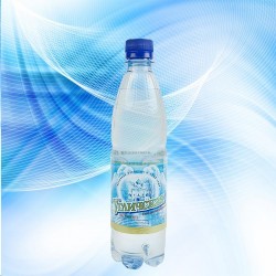 Вода минеральная Угличская природная питьевая лечебно-столовая газированная 0.5 л ПЭТ